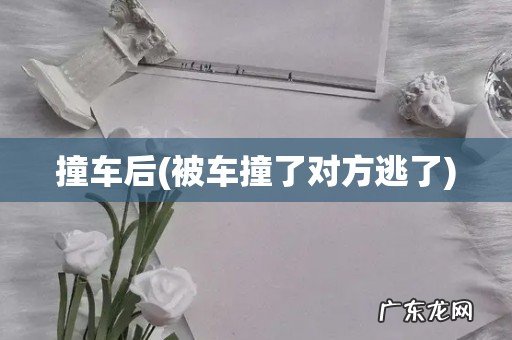 被车撞了对方逃了 撞车后