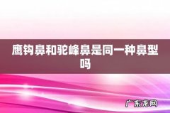 鹰钩鼻和驼峰鼻是同一种鼻型吗