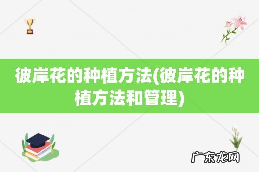 彼岸花的种植方法和管理 彼岸花的种植方法