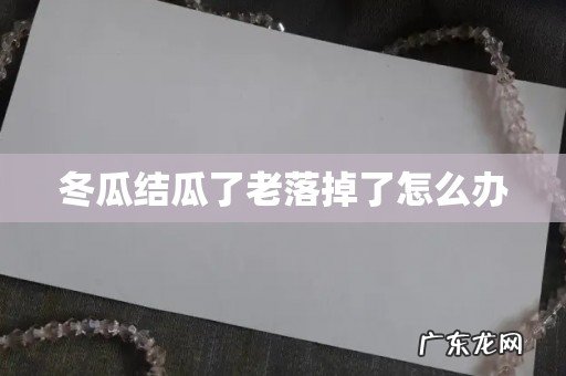 冬瓜结瓜了老落掉了怎么办