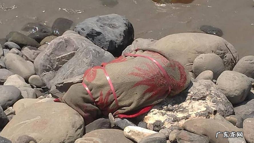 尸臭是什么味道?