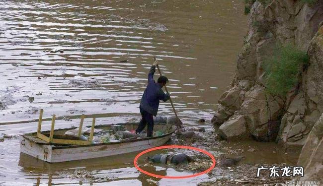 尸臭是什么味道?