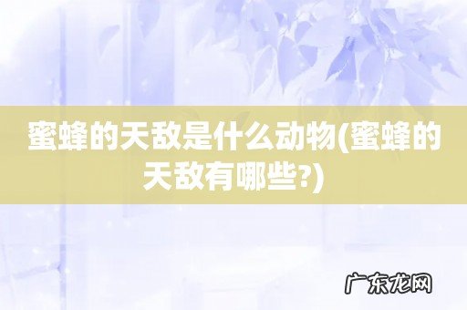 蜜蜂的天敌有哪些? 蜜蜂的天敌是什么动物