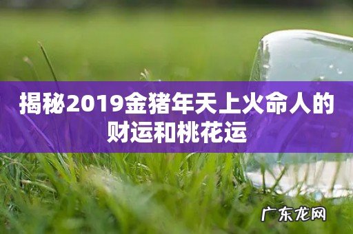 揭秘2019金猪年天上火命人的财运和桃花运