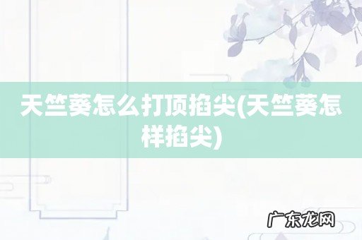 天竺葵怎样掐尖 天竺葵怎么打顶掐尖