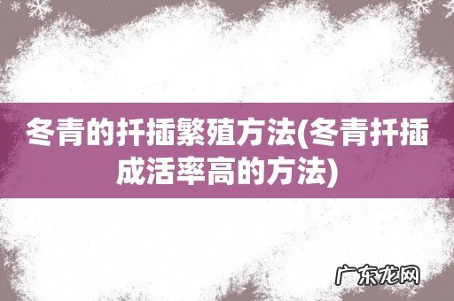冬青扦插成活率高的方法 冬青的扦插繁殖方法