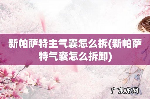 新帕萨特气囊怎么拆卸 新帕萨特主气囊怎么拆