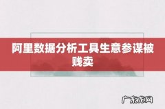 阿里数据分析工具生意参谋被贱卖