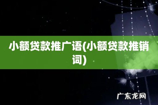 小额贷款推销词 小额贷款推广语