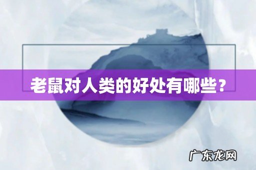 老鼠对人类的好处有哪些？