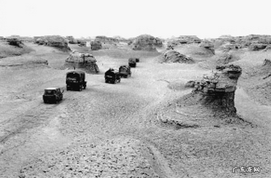 沙民事件是什么?