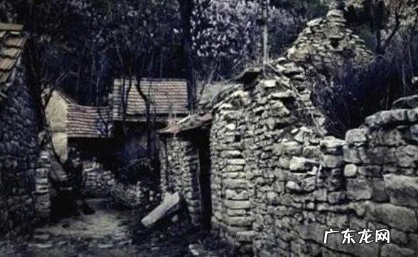 夜狸猫事件真相揭秘?