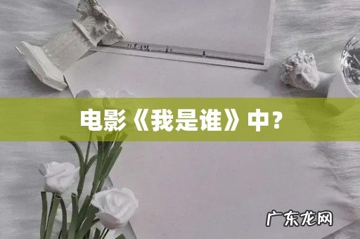 电影《我是谁》中?