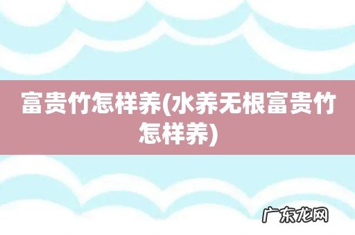 水养无根富贵竹怎样养 富贵竹怎样养