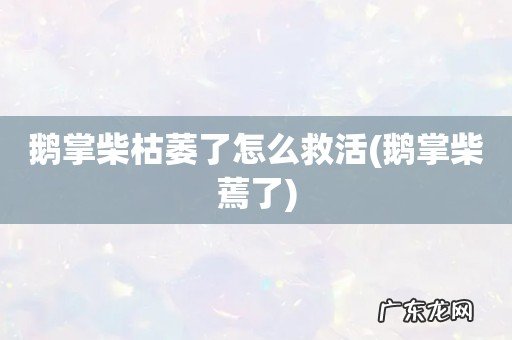 鹅掌柴蔫了 鹅掌柴枯萎了怎么救活