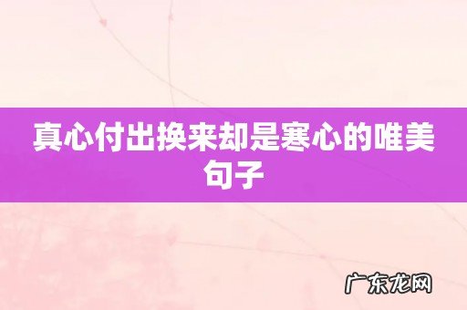 真心付出换来却是寒心的唯美句子