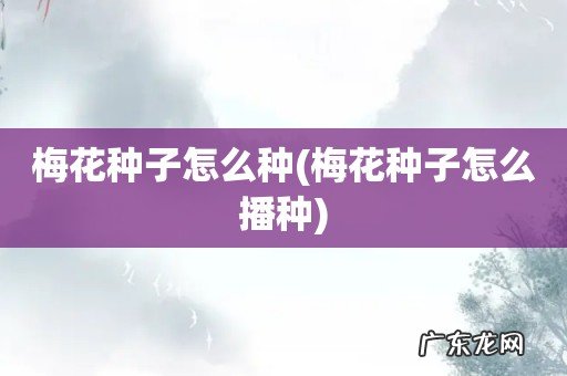 梅花种子怎么播种 梅花种子怎么种