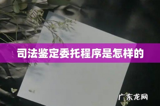 司法鉴定委托程序是怎样的