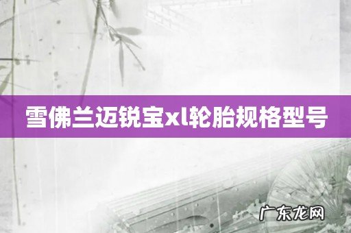 雪佛兰迈锐宝xl轮胎规格型号