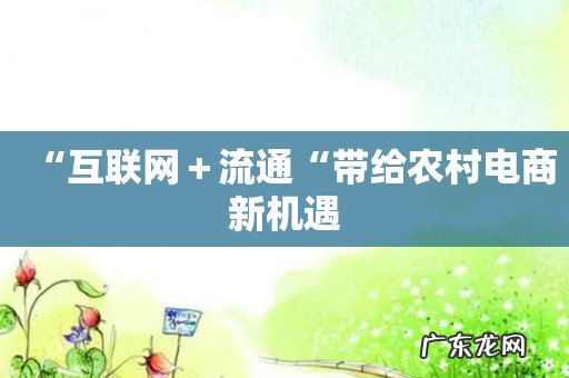 “互联网+流通“带给农村电商新机遇