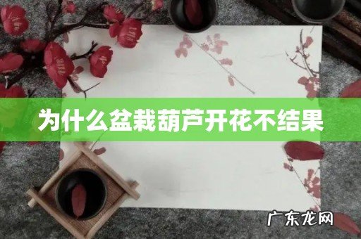 为什么盆栽葫芦开花不结果