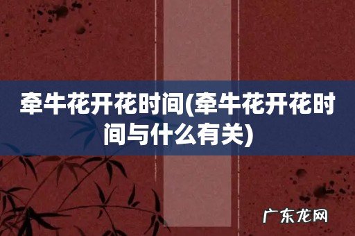 牵牛花开花时间与什么有关 牵牛花开花时间