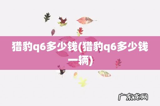 猎豹q6多少钱一辆 猎豹q6多少钱