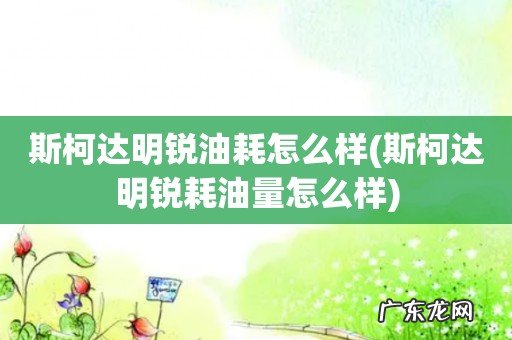 斯柯达明锐耗油量怎么样 斯柯达明锐油耗怎么样