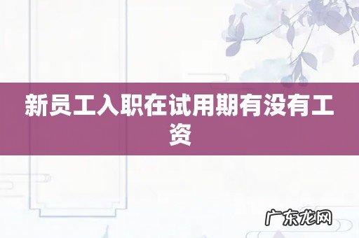 新员工入职在试用期有没有工资