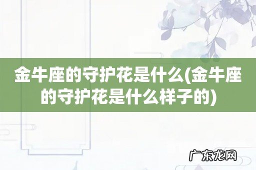 金牛座的守护花是什么样子的 金牛座的守护花是什么