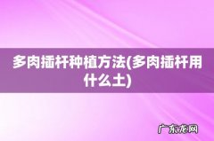 多肉插杆用什么土 多肉插杆种植方法