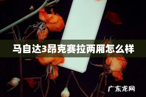 马自达3昂克赛拉两厢怎么样