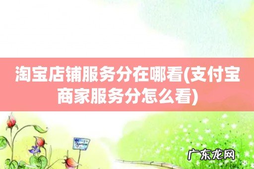 支付宝商家服务分怎么看 淘宝店铺服务分在哪看