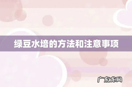 绿豆水培的方法和注意事项