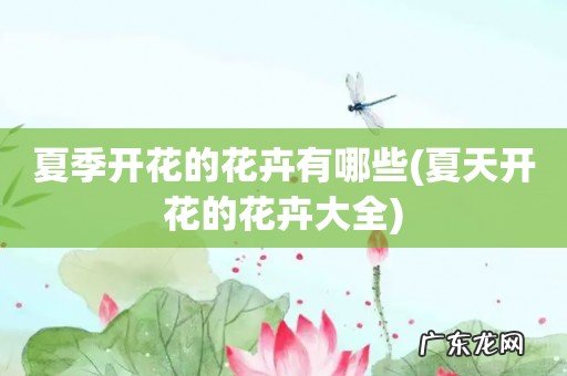 夏天开花的花卉大全 夏季开花的花卉有哪些