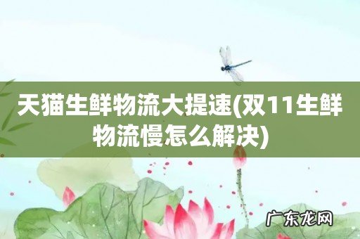 双11生鲜物流慢怎么解决 天猫生鲜物流大提速