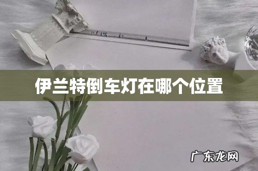 伊兰特倒车灯在哪个位置