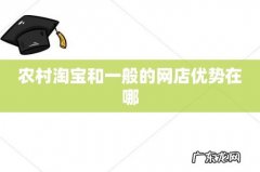 农村淘宝和一般的网店优势在哪