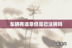 车辆有违章但是已注销吗