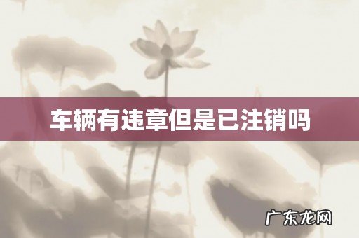车辆有违章但是已注销吗