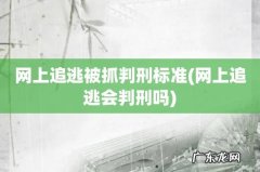 网上追逃会判刑吗 网上追逃被抓判刑标准