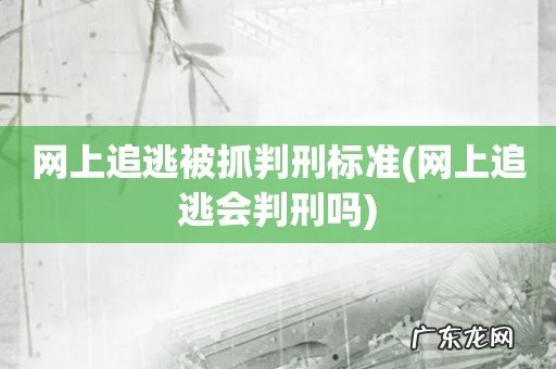 网上追逃会判刑吗 网上追逃被抓判刑标准