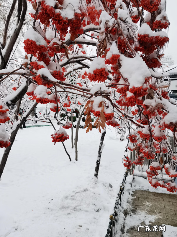 感情三大基石风水