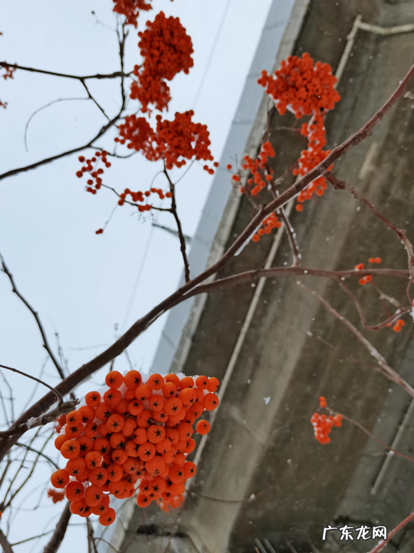 感情三大基石风水