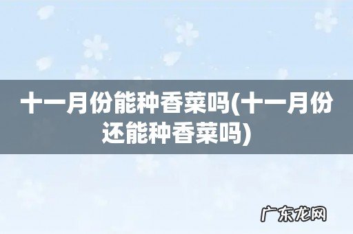 十一月份还能种香菜吗 十一月份能种香菜吗