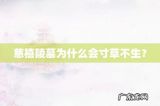 慈禧陵墓为什么会寸草不生？