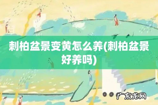 刺柏盆景好养吗 刺柏盆景变黄怎么养