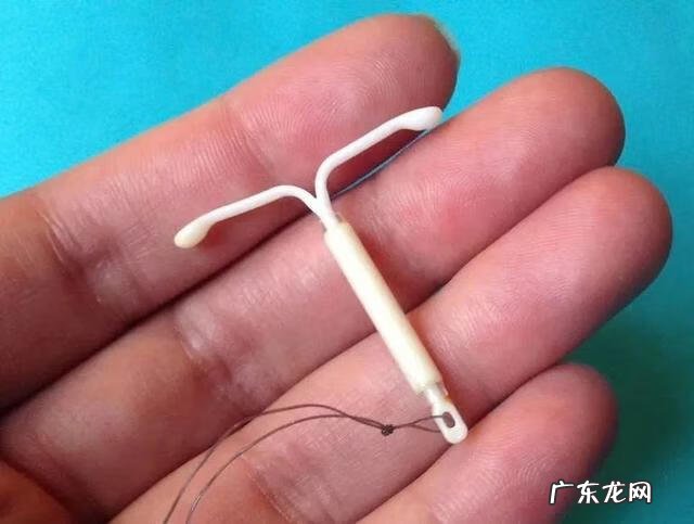 上避孕环需要注意什么 避孕环图示