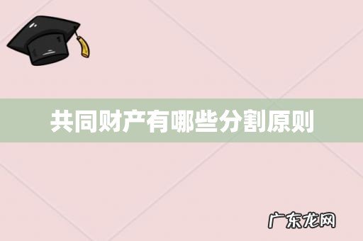 共同财产有哪些分割原则