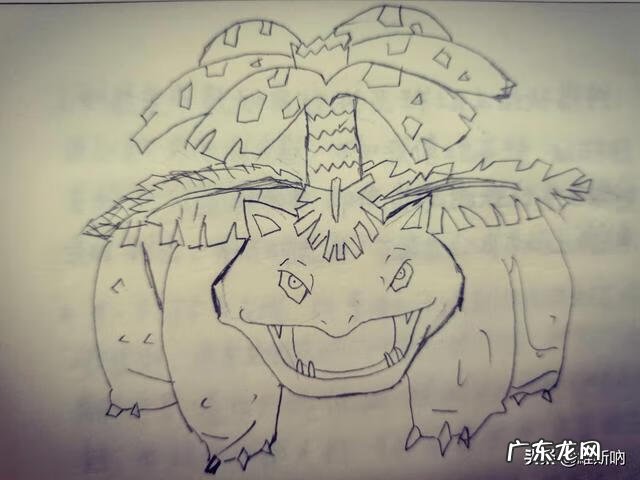 宝可梦全集国语版 神奇宝贝国语版第一季